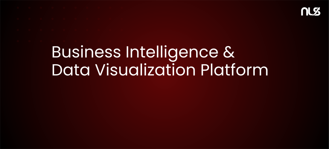 Business Intelligence & Data Visualization Platform